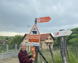 Read more about the article Lassú turista