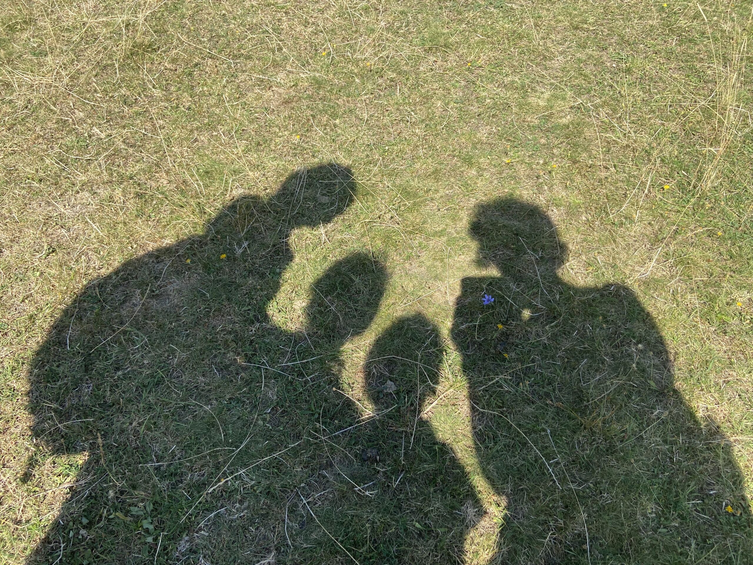 Read more about the article Menni