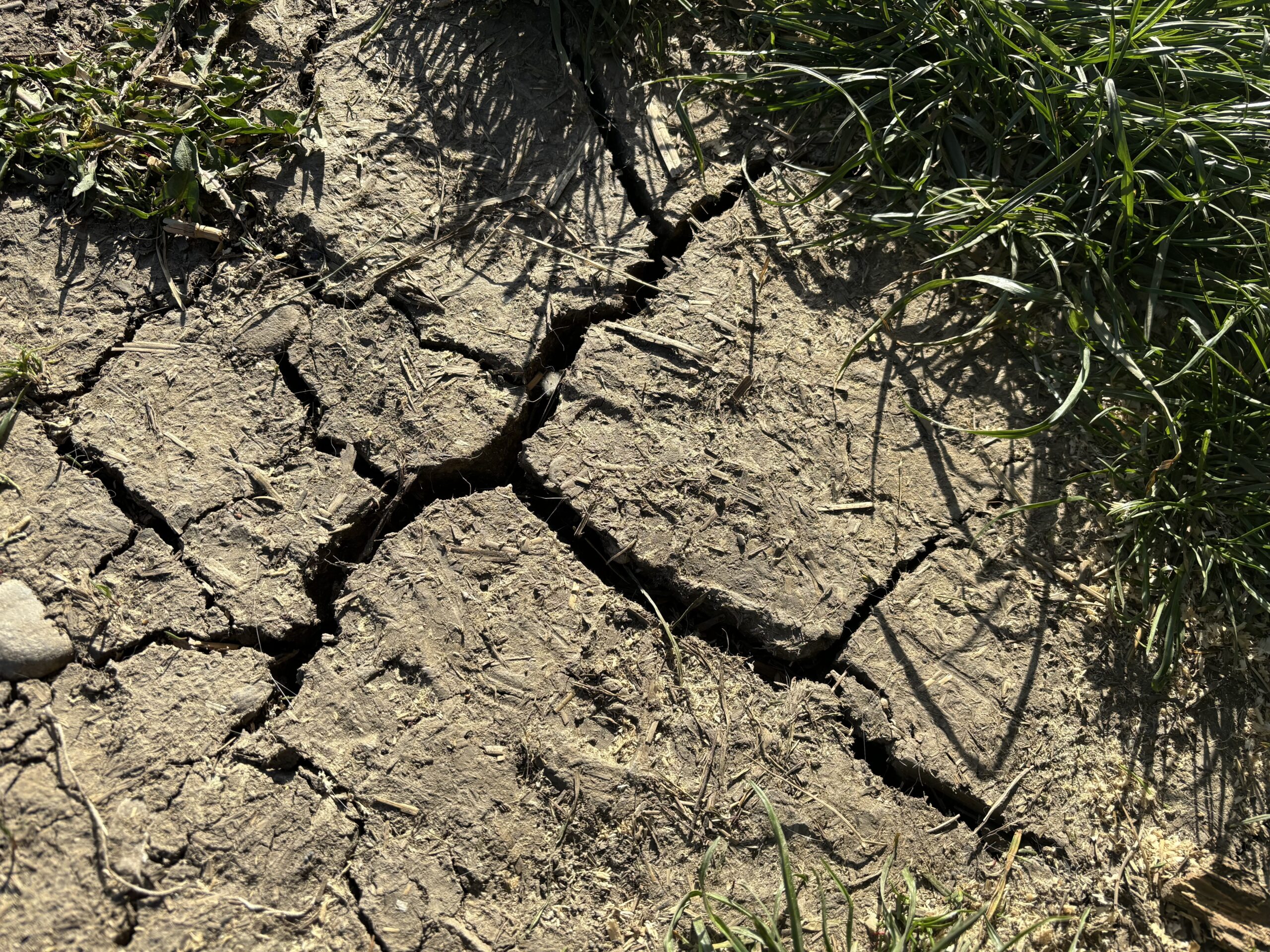 Read more about the article Ha elengedem,  megkapom