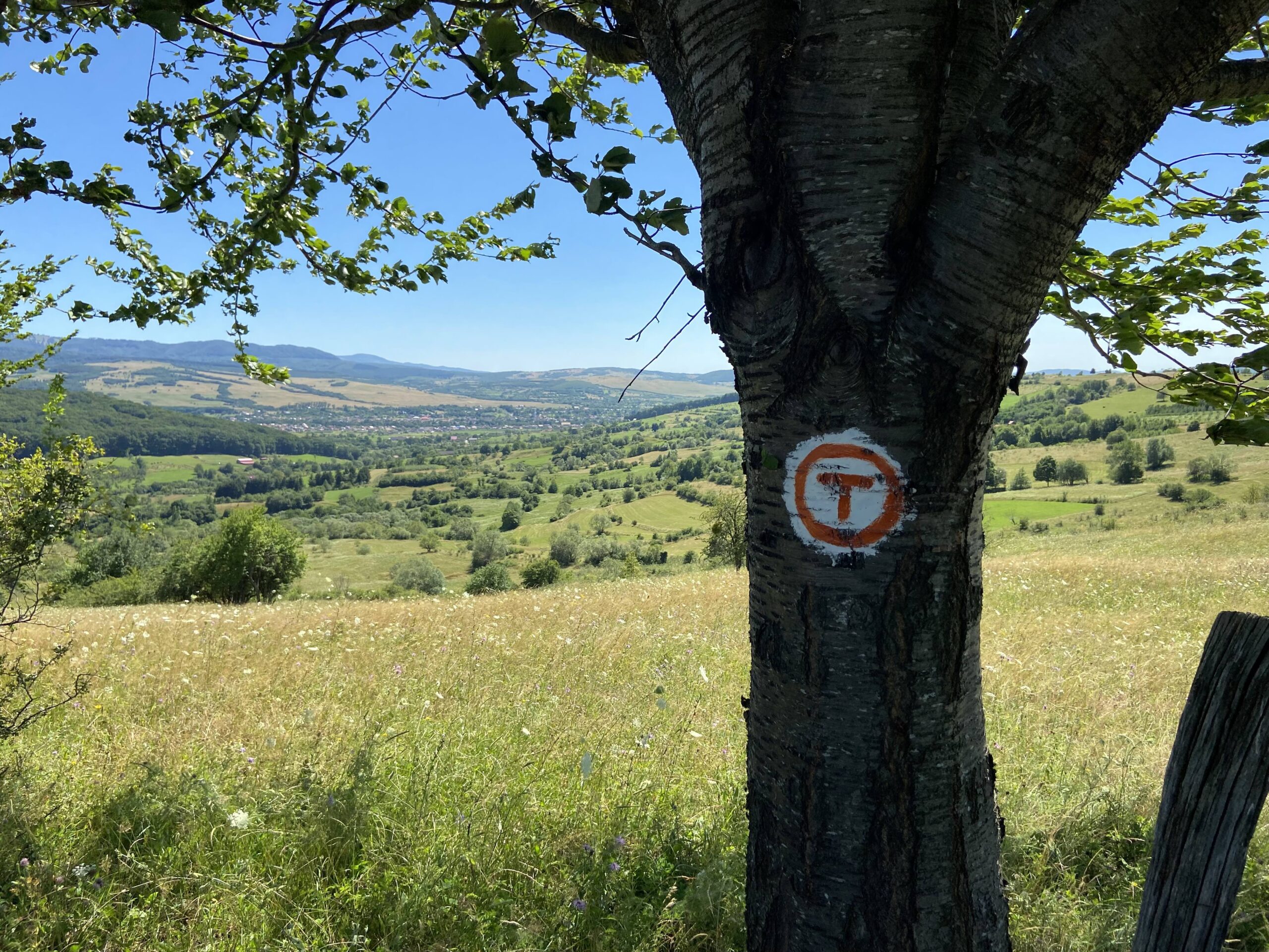 Read more about the article Az áldás útja