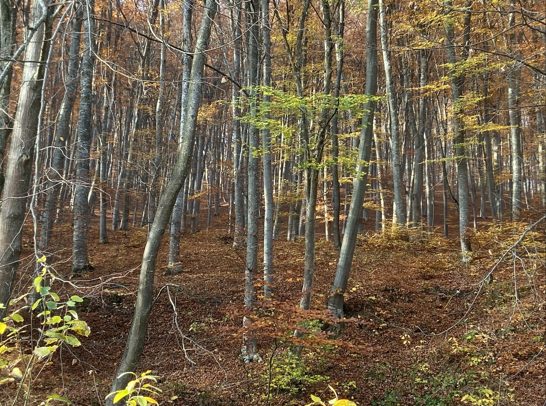 Read more about the article A végső cél sok mindent eldönt
