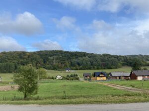 Read more about the article Marta