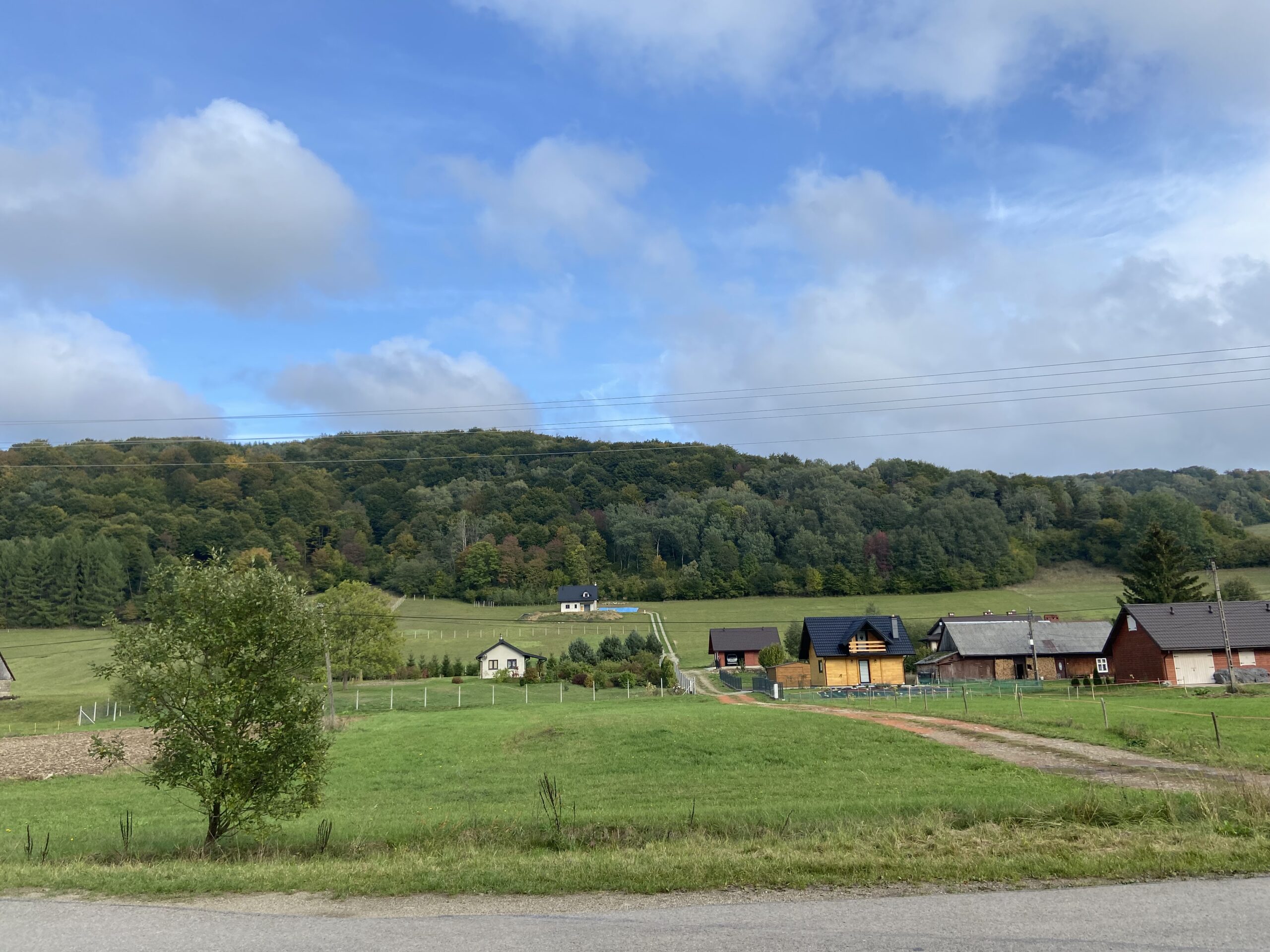 Read more about the article Marta