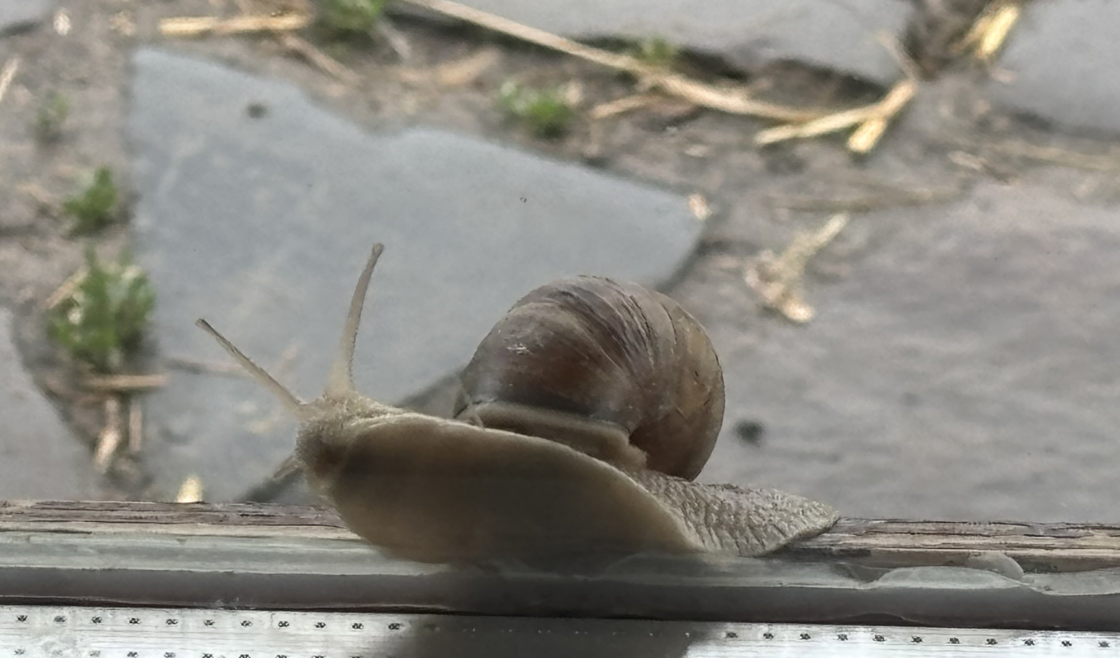 Read more about the article Ha kevesebb lehetőségem, több energiám marad