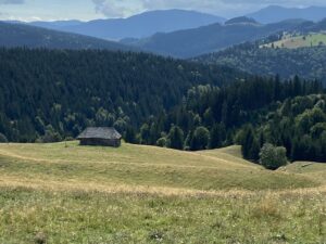 Read more about the article (Vissza)fejlődés